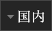 国内